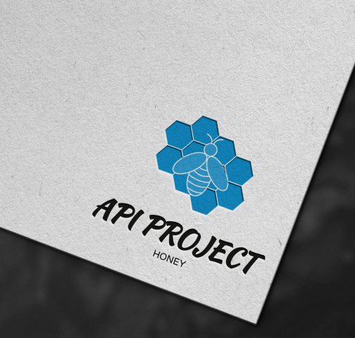 Api Project