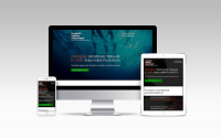 Advanced business development