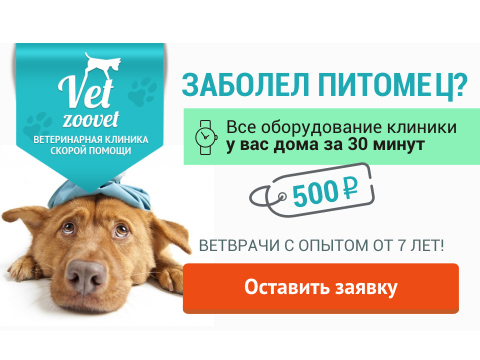 Работа 3459794