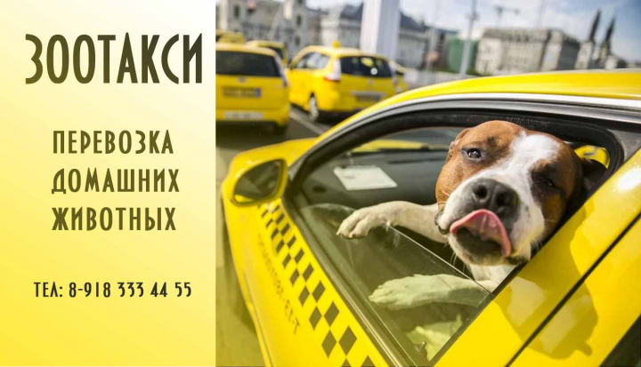 визитка