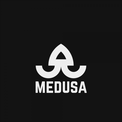Моя работа
