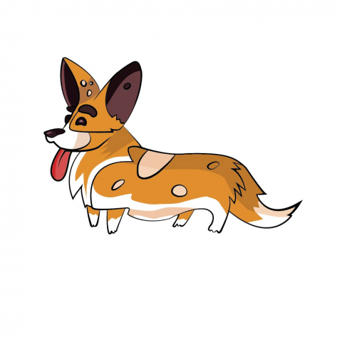 Корги