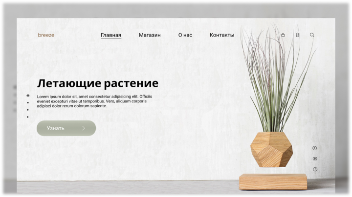 Первый экран магазина breeze с товаром Летающие растение