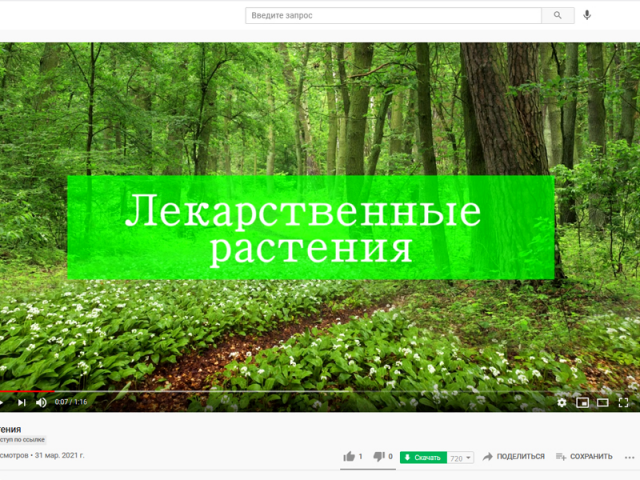 проморолик