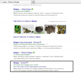 Поисковое продвижение сайта "orexim.com.ua"