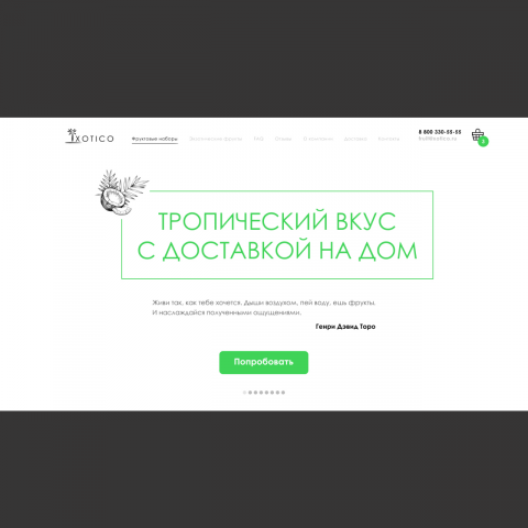 Дизайн сайта интернет-магазина тропических фруктов