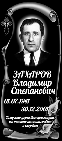 Работа 3810251
