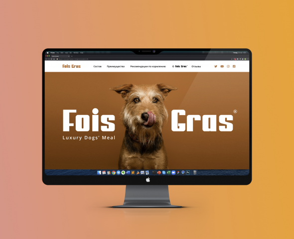 Главный экран Landing Page продажи корма для собак