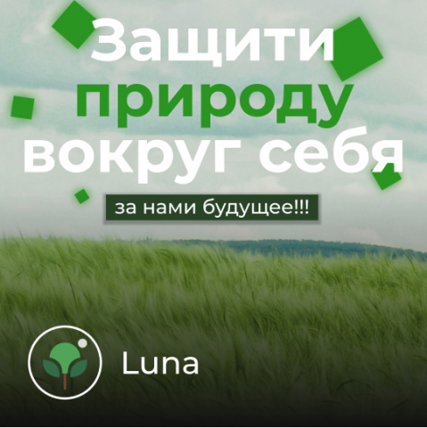 Баннер - Luna