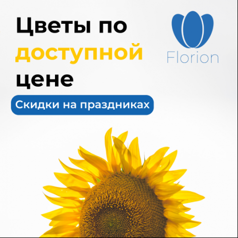 Баннер - Florion