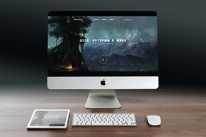 Portfolio
