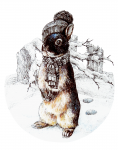 Зимний зайка.