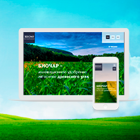 Сайт - визитка  Wordpress