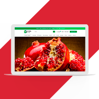 Интернет - магазин овощей Opencart