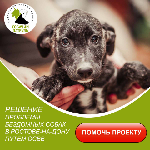 Баннеры для благотворительной организации