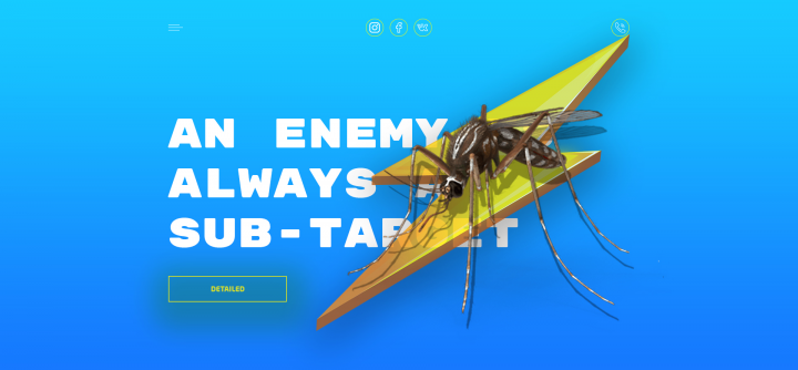 Anenemy