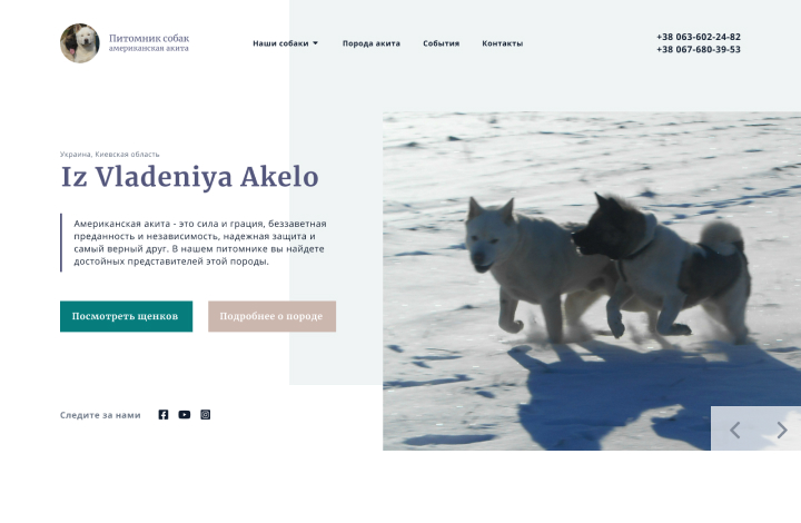 Сайт питомника собак "Iz Vladeniya Akelo"