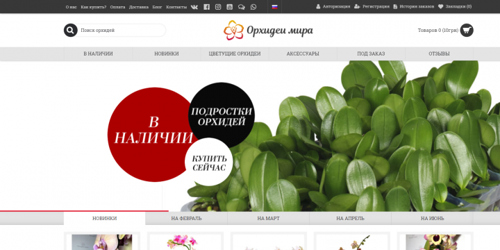 Орхидеи Мира