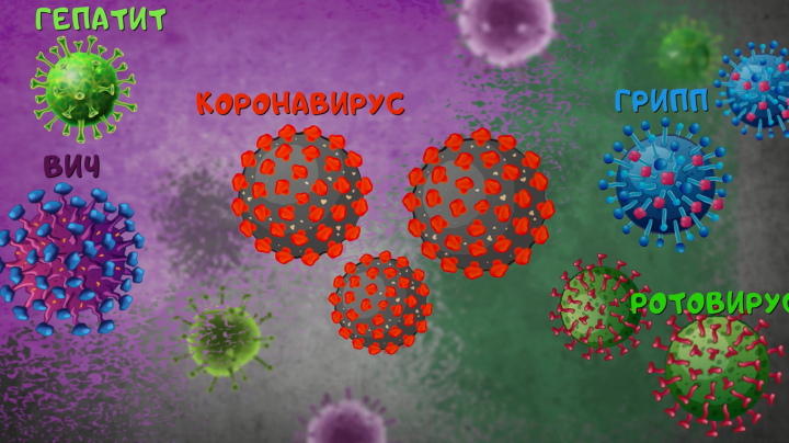 Микробы