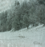 Работа 1731286