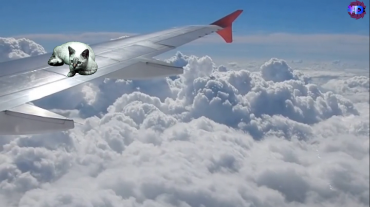 Кеинг видео