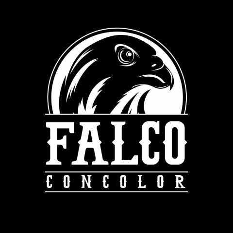 Лого для Youtube канала Falco Concolor