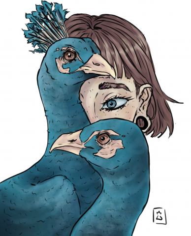 peacocks