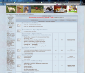 Клуб любителей борзых