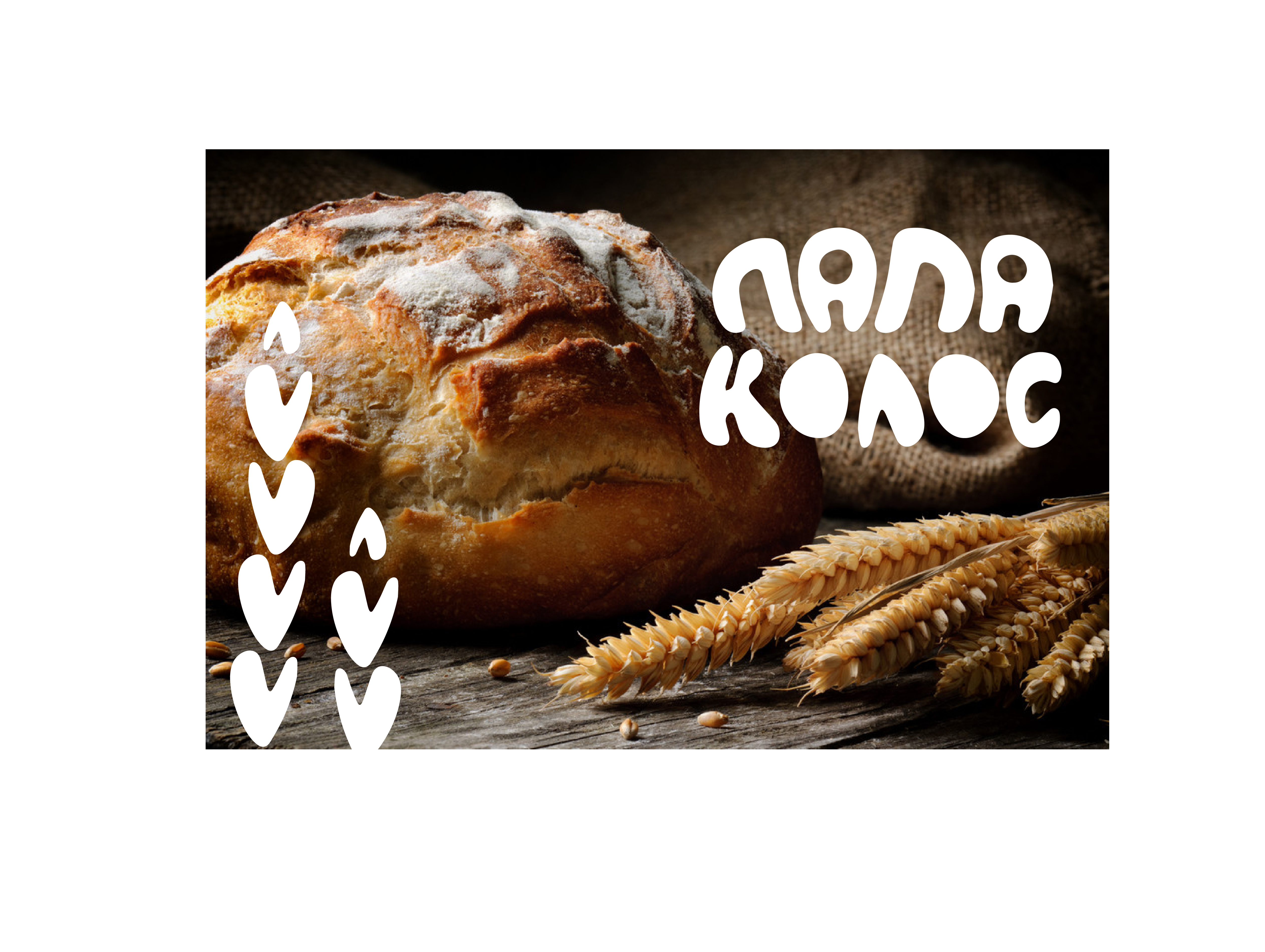 портфолио -34.jpg