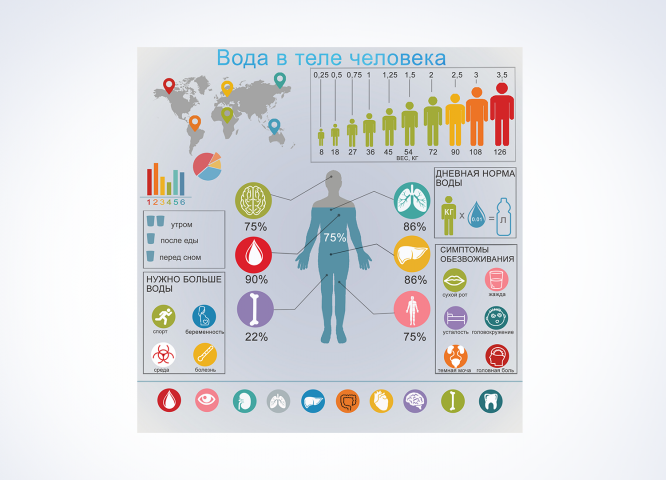 дизайн инфографики