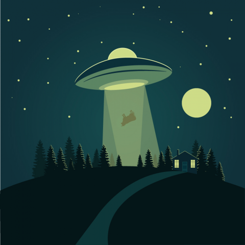 НЛО
