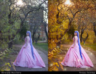 Работа 1484012