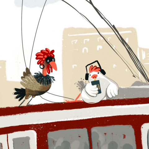 Куры в городе