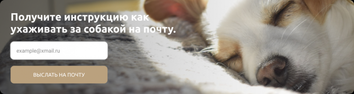 Баннер для собачьей тематики. 1000 рублей