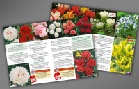 Развороты из каталога