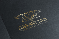 Elephant Tour