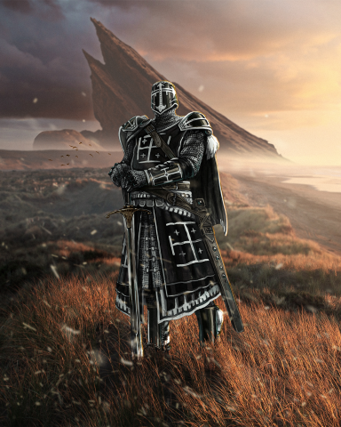 The lone knight