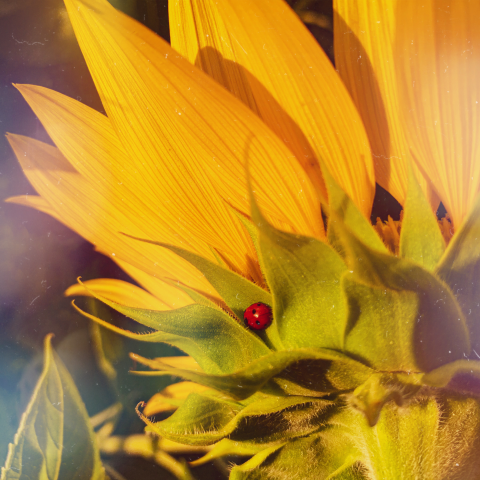 Работа 3998574