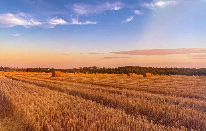 Работа 3998565