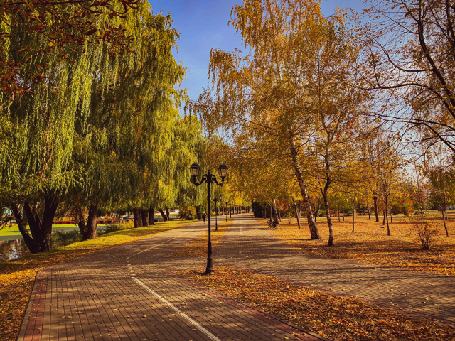 Работа 3998558