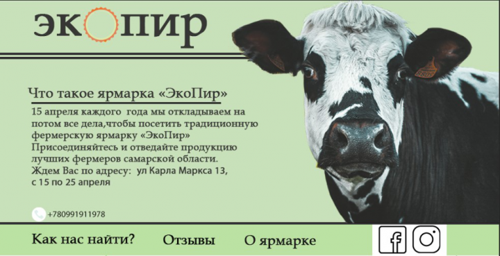Ярмарка "ЭкоПир"