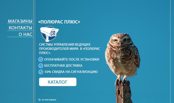 Polorus olus- Системы видеонаблюдения