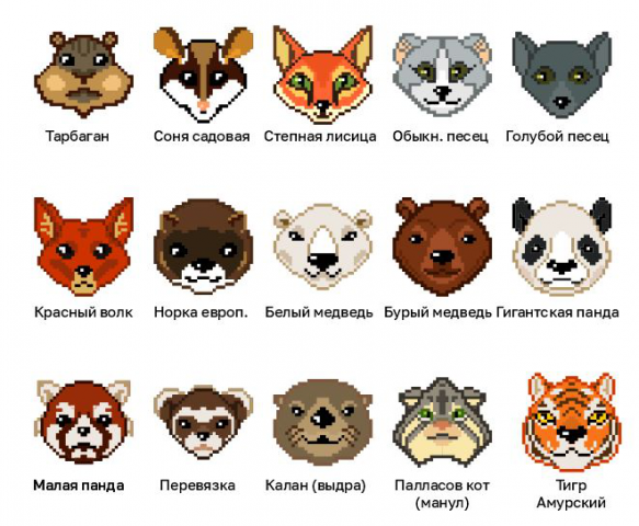Животные