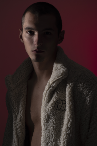 модельные тесты