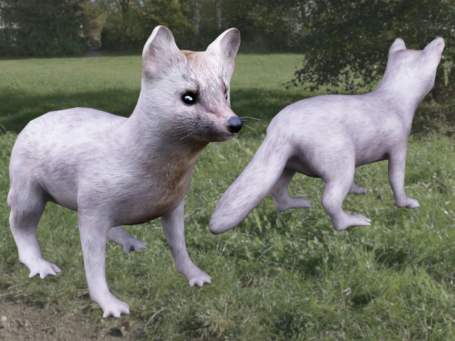 Low-poly соболя