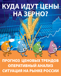 Zol