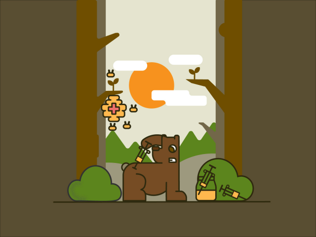 Bear