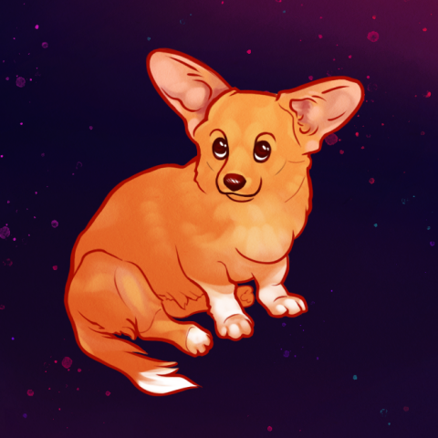 Corgi