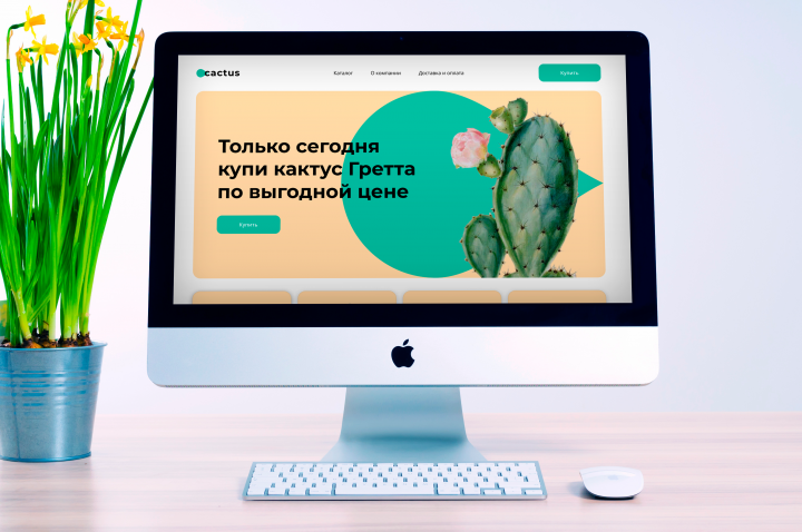 Интернет-магазин кактусов
