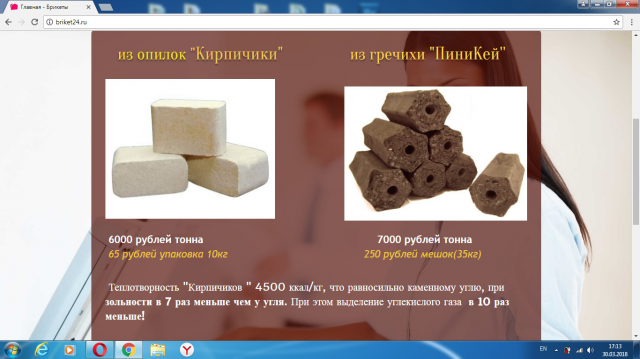 Организация Бизнеса по продаже топливных брикетов